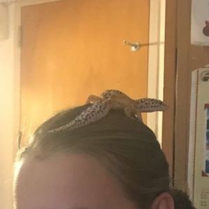 Meet your Posher, Laasya